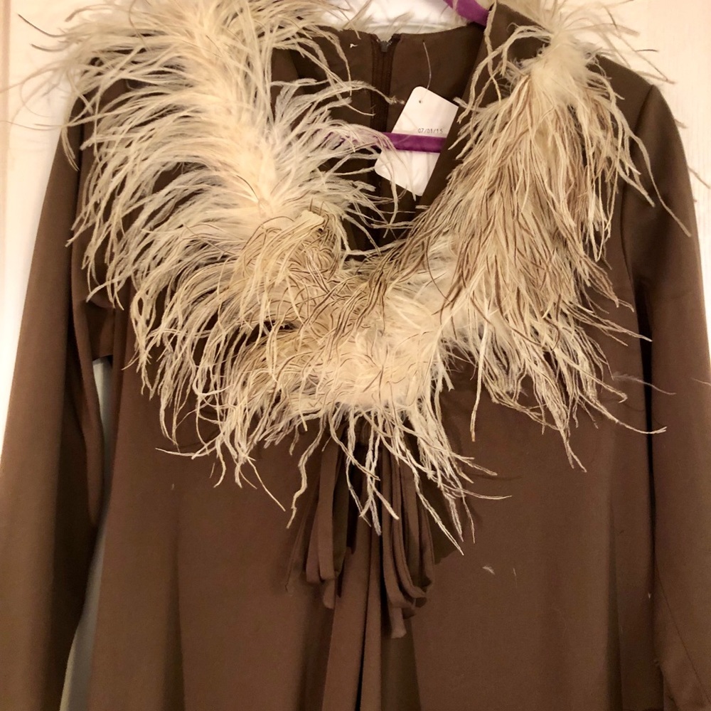 Exquisite 1960s Dress W/ Ostrich Feather - Picture 3 of 8